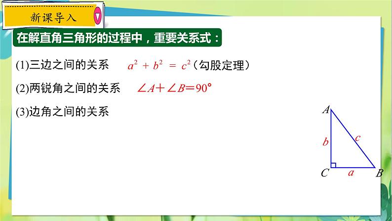 华师数学九年级上册 24.4.1 解直角三角形 第1课时解直角三角形 PPT课件第2页