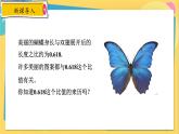 浙教数学九年级上册 4.1.1 比例的基本性质 PPT课件