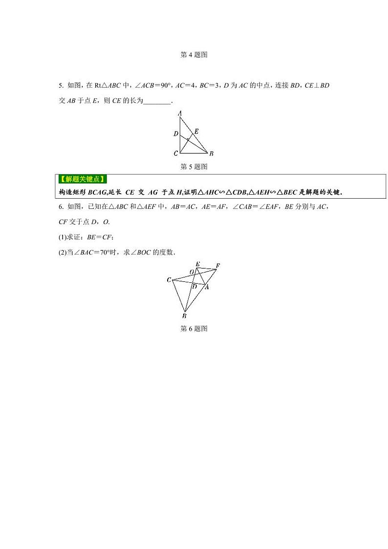 2024河南中考数学复习 全等、相似三角形的常考模型 强化精练 (含答案)第2页