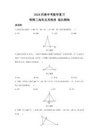 2024河南中考数学复习 特殊三角形及其性质 强化精练 (含答案)