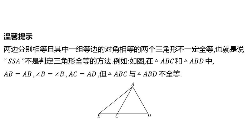 2024河南中考数学一轮知识点复习专题 全等三角形 课件第6页