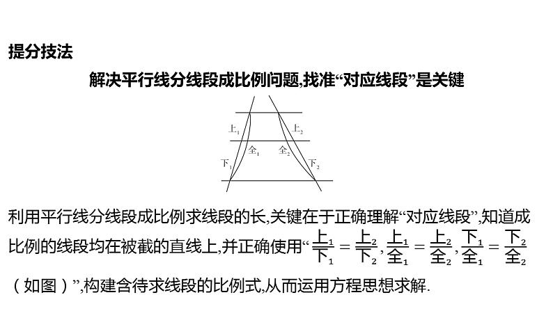 2024河南中考数学一轮知识点复习专题 相似三角形 课件第5页