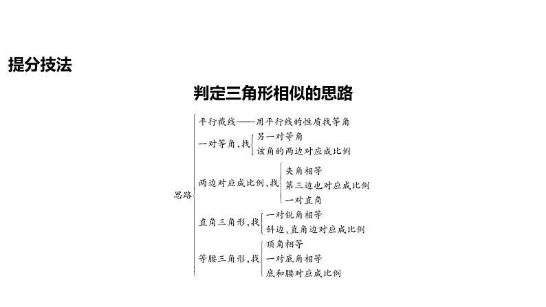 2024河南中考数学一轮知识点复习专题 相似三角形 课件第8页