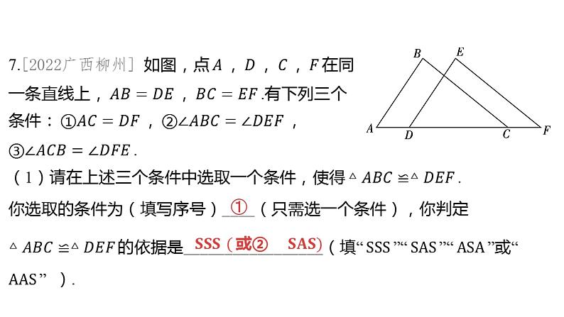 2024河南中考数学一轮知识点训练复习专题  全等三角形  (课件)第8页