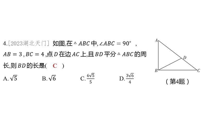 2024河南中考数学一轮知识点训练复习专题  特殊三角形及其性质  (课件)第4页