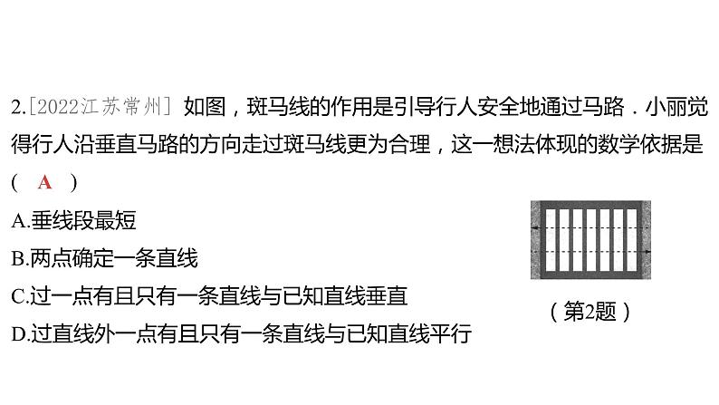 2024河南中考数学一轮知识点训练复习专题  线段、角、相交线与平行线  (课件)第3页