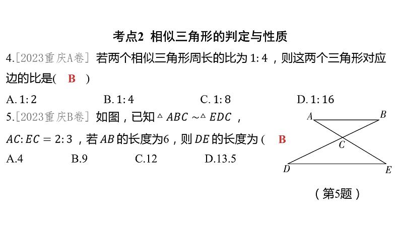 2024河南中考数学一轮知识点训练复习专题  相似三角形  (课件)第5页