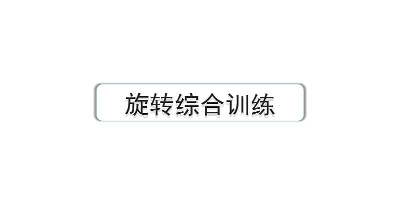 2024河南中考数学专题复习 旋转综合训练 课件01