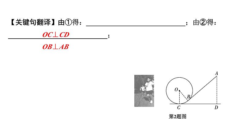 2024河南中考数学专题复习第六章 第四节 圆的实际应用 课件第8页