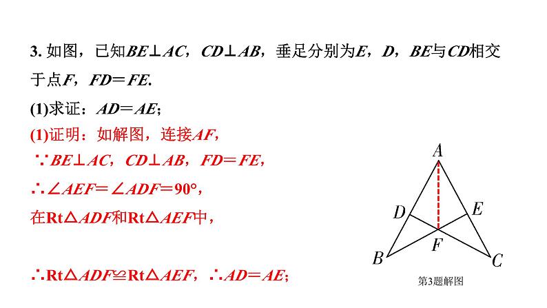 2024辽宁中考数学二轮专题复习 微专题  常考全等模型（课件）06