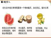 1.2 从立体图形到平面图形课时3 课件2024—-2025学年北师大版数学 七年级上册