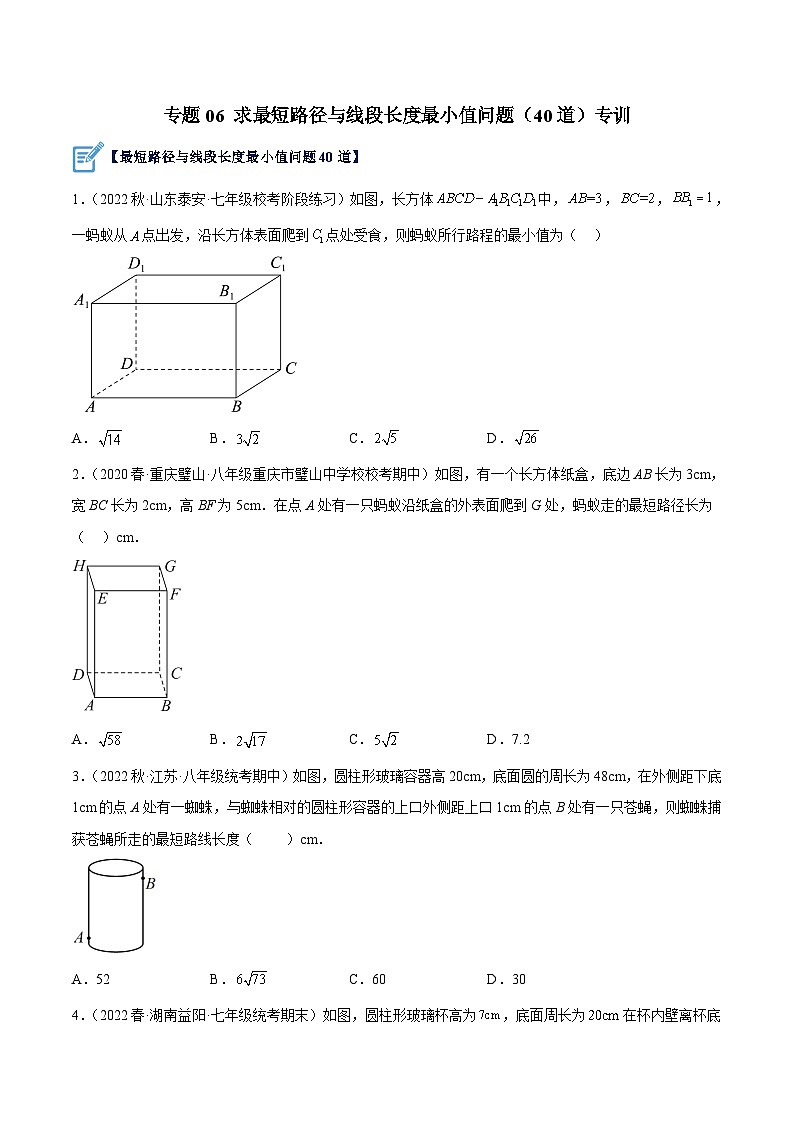 人教版八年级数学下册重难点专题提升精讲精练专题06求最短路径与线段长度最小值问题(40道)专训(原卷版+解析)第1页