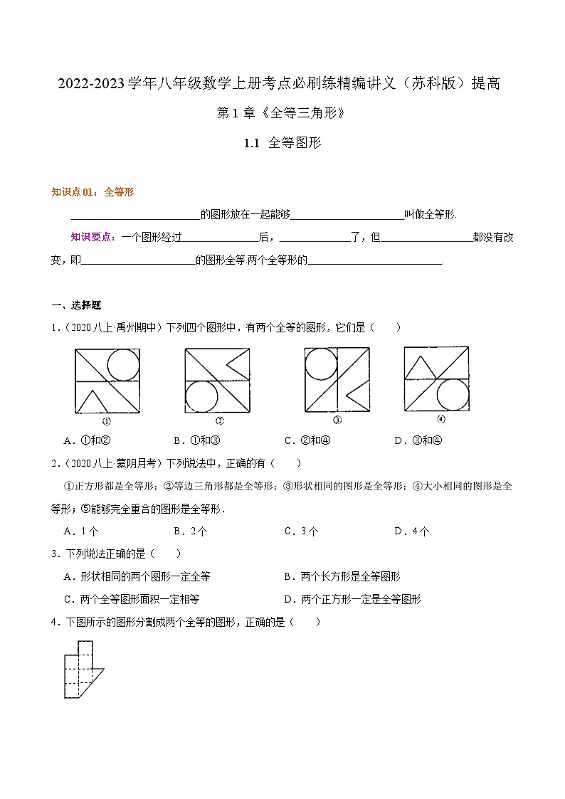 苏科版八年级数学上册同步考点必刷练精编讲义必刷提高练【1.1全等图形】(原卷版+解析)01