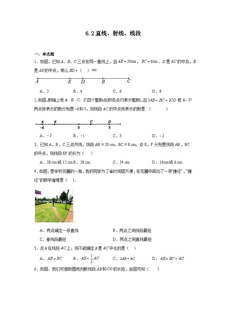 6.2直线、射线、线段暑假预习练  人教版（2024）数学七年级上册01
