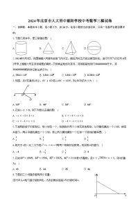 2024年北京市人大附中朝阳学校中考数学三模试卷（含答案）