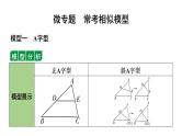 2024辽宁中考数学二轮专题复习 微专题 常考相似模型（课件）