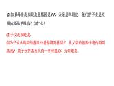 2024辽宁中考数学三轮冲刺系列 全国视野创新题型推荐（课件）