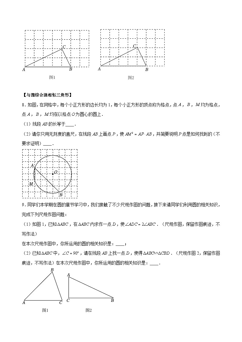 苏科版数学九年级下册6.5.2《相似三角形的性质-相似变换&相似三角形的判定与性质模型》（八大题型）（原卷版）第3页