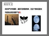 苏科版数学九年级下册6.7《用相似三角形解决问题》课件+分层练习