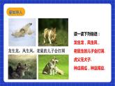 【核心素養(yǎng)目標】滬科版數(shù)學九年級下冊26.4《概率在遺傳學中的應用》 課件+教案