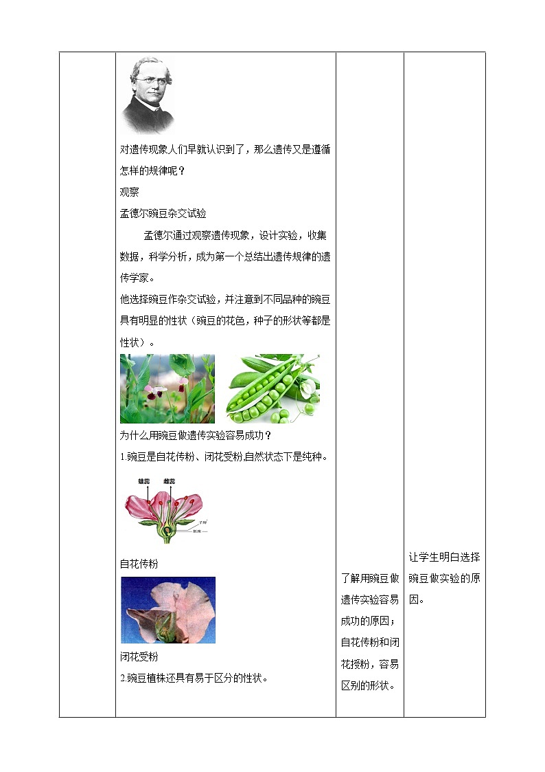 【核心素养目标】沪科版数学九年级下册26.4《概率在遗传学中的应用》 课件+教案02