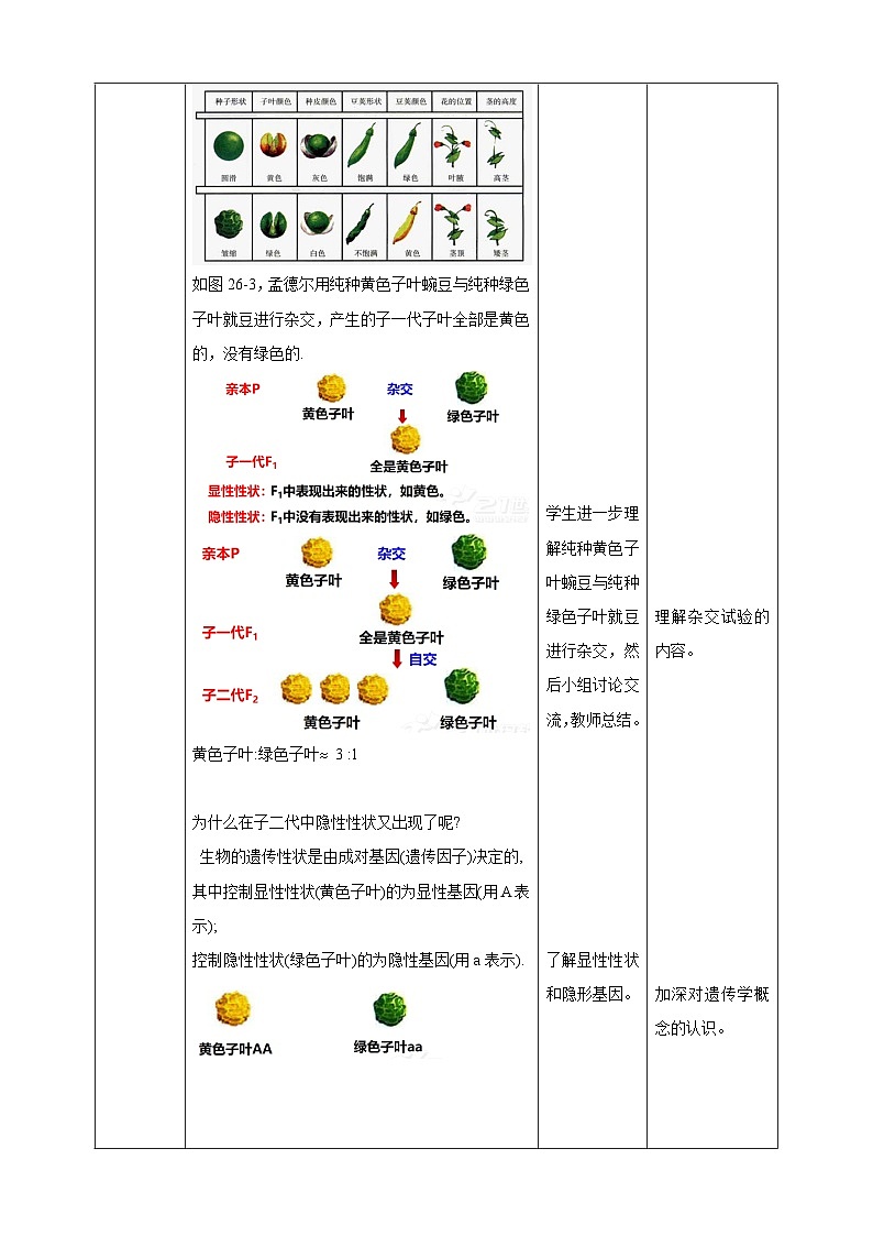 【核心素养目标】沪科版数学九年级下册26.4《概率在遗传学中的应用》 课件+教案03