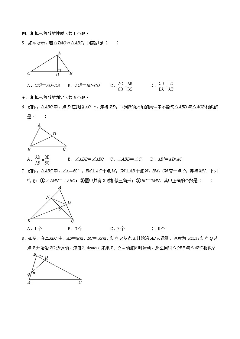 猜题04 图形的相似（易错必刷30题8种题型专项训练）-九年级上学期数学期末考点大串讲（北师大版）02