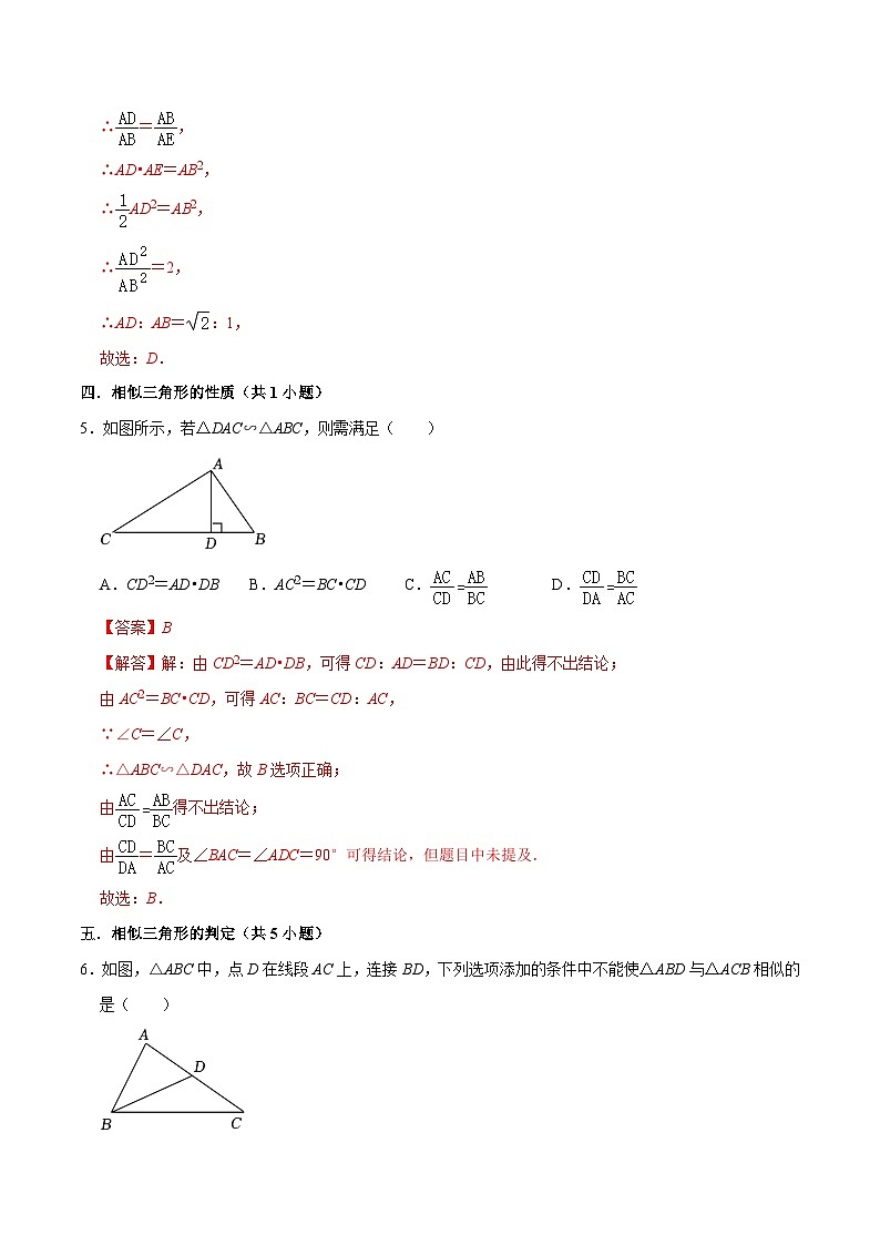 猜题04 图形的相似（易错必刷30题8种题型专项训练）-九年级上学期数学期末考点大串讲（北师大版）03