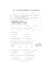 [数学][期中]2024北京北大附中初二下学期期中数学试卷及答案