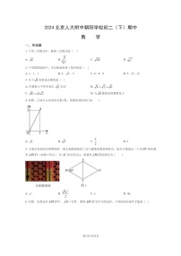 [数学][期中]2024北京人大附中朝阳学校初二下学期期中数学试卷及答案