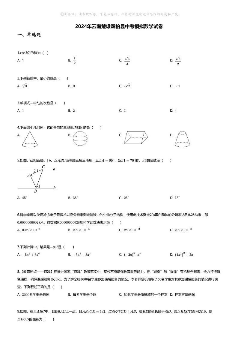 [数学]2024年云南楚雄双柏县中考模拟数学试卷(无答案)第1页