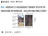 1.1 生活 观察 课件--2024-2025学年苏科版七年级数学 上册