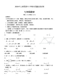 湖南省长沙市望城区2023-2024学年七年级下学期7月期末数学试题