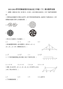 2023-2024学年河南省郑州市金水区八年级（下）期末数学试卷（含答案）