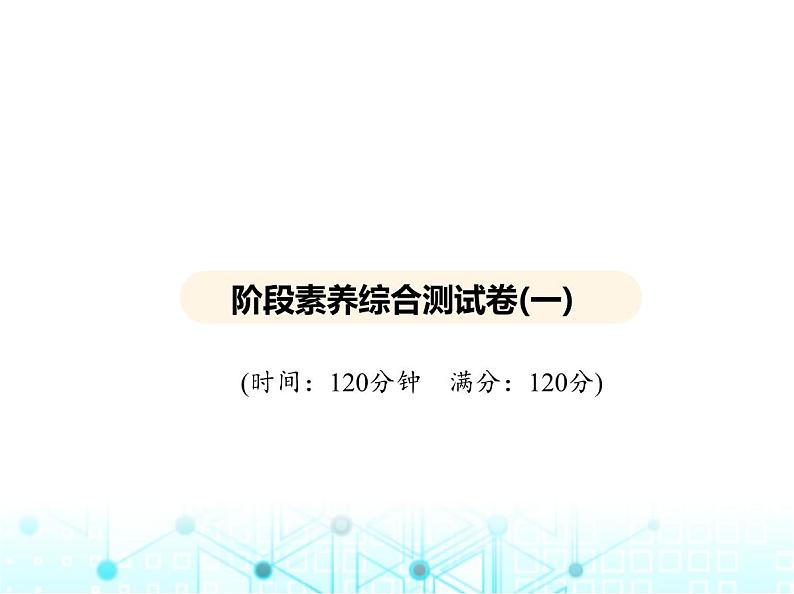 华东师大版初中数学九年级上册阶段素养综合测试卷(一)课件第2页