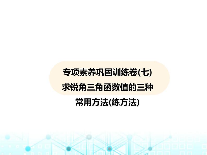 华东师大版初中数学九年级上册专项素养巩固训练卷(七)求锐角三角函数值的三种常用方法练课件第2页