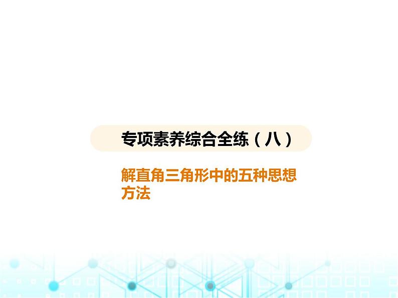 华东师大版初中数学九年级上册专项素养综合练(八)解直角三角形中的五种思想方法课件02