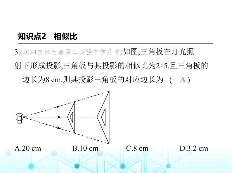 华东师大版初中数学九年级上册23-3相似三角形第1课时相似三角形课件06