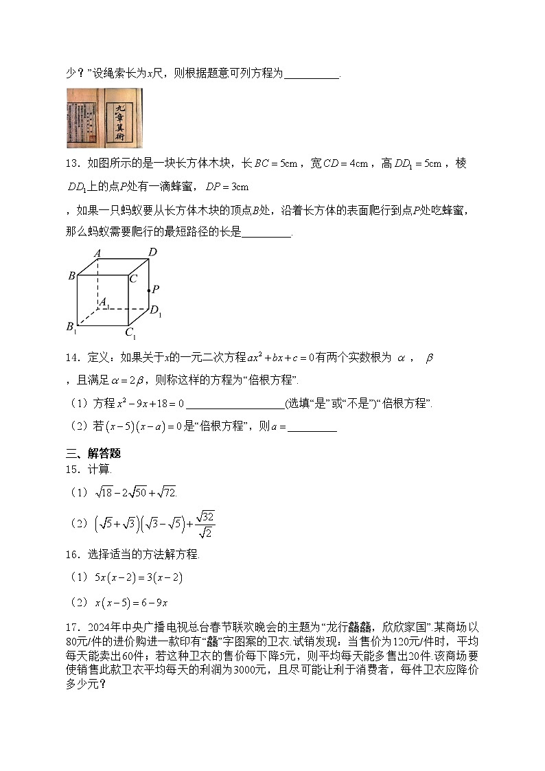 安徽省淮北市“五校联考”2023-2024学年八年级下学期期中考试数学试卷(含答案)第3页