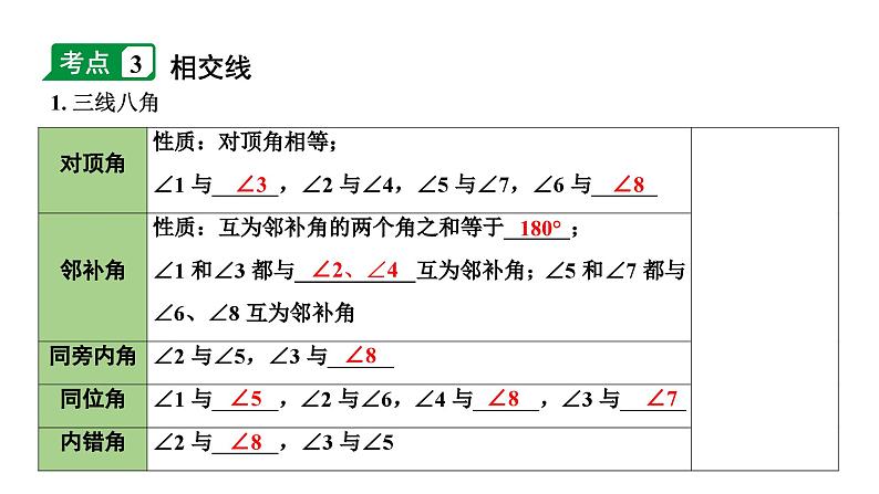 2024长沙中考数学一轮复习 第17课时  线段、角、相交线与平行线（课件）07