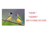 1.2 定义与命题（1）浙教版数学八年级上册课件