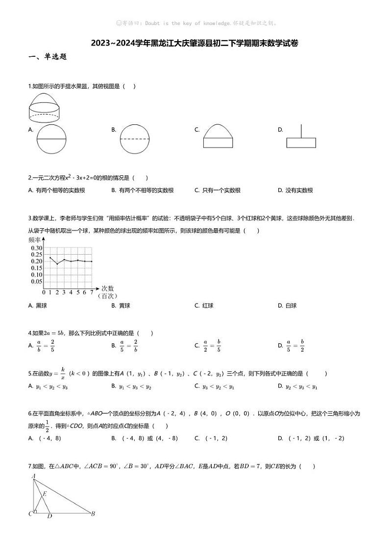 [数学][期末]2023_2024学年黑龙江大庆肇源县初二下学期期末数学试卷第1页