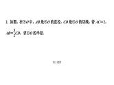 2024长沙中考数学一轮复习 微专题  三大常考相似模型（课件）