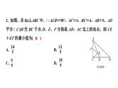 2024长沙中考数学一轮复习 微专题 几何最值问题（课件）