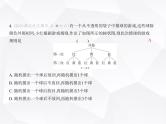 北师大版初中九年级数学上册期中素养综合测试卷(一)课件