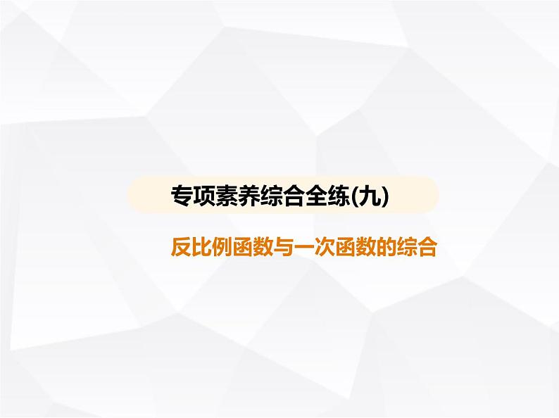 北师大版初中九年级数学上册专项素养综合练(九)反比例函数与一次函数的综合课件第1页