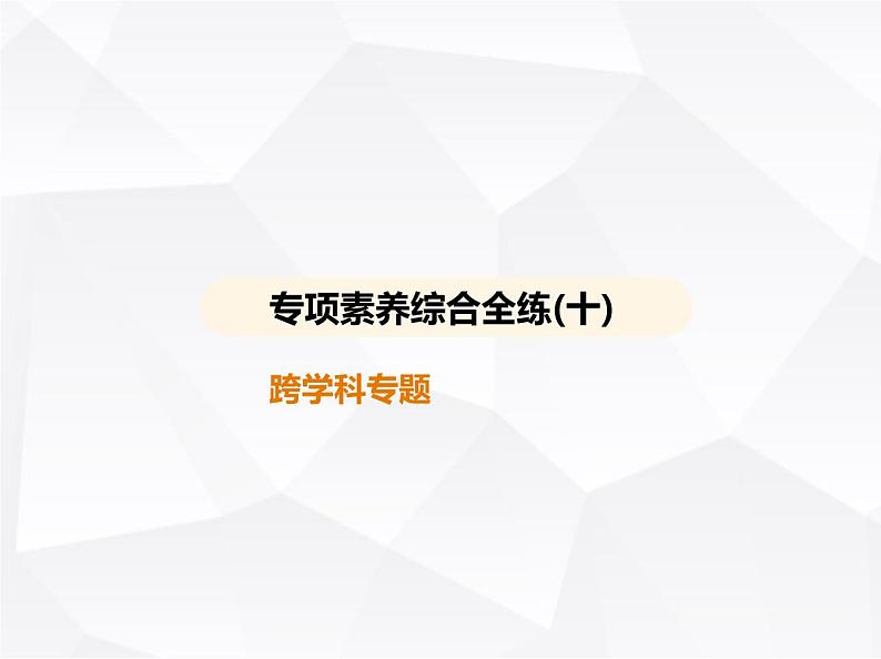 北师大版初中九年级数学上册专项素养综合练(十)跨学科专题课件第1页