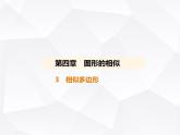 北师大版初中九年级数学上册第四章图形的相似3相似多边形课件