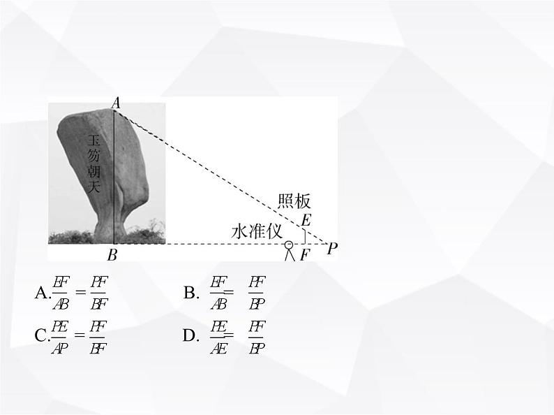 北师大版初中九年级数学上册第四章图形的相似6利用相似三角形测高课件07