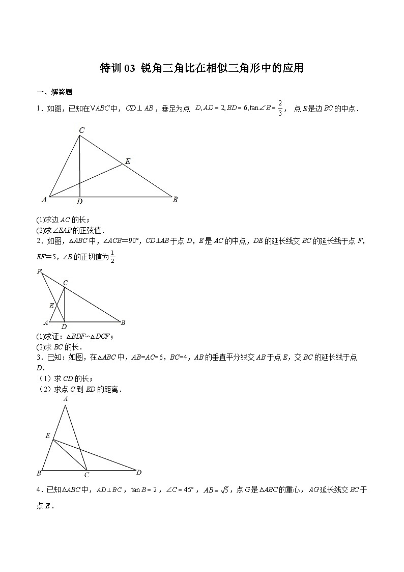 沪教版九年级数学上册期中期末挑战满分冲刺卷特训03锐角三角比在相似三角形中的应用(原卷版+解析)01